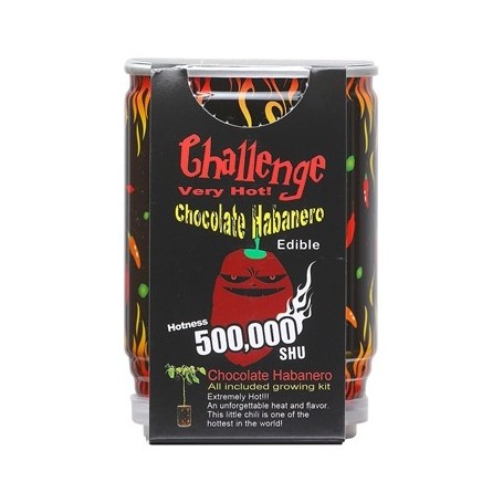 Magic Plant Challenge Chocolate Habanero Chili Plante