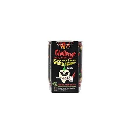 Magic Plant Challenge White Habanero Plante